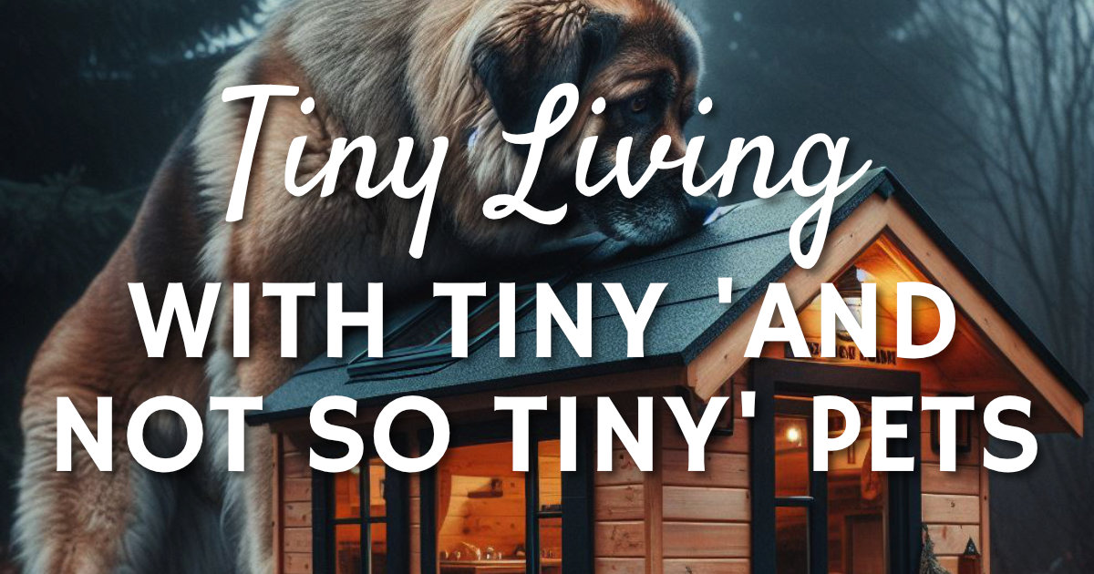 Tiny Living With Tiny And Not So Tiny House Pets