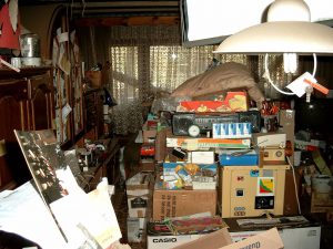 Common Tiny House Questions - Hoarder