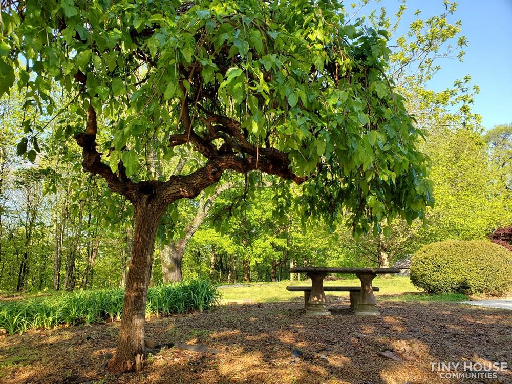 Avalon Nashville: Rural Living Community with MANY Amenities  - Image 3 Thumbnail