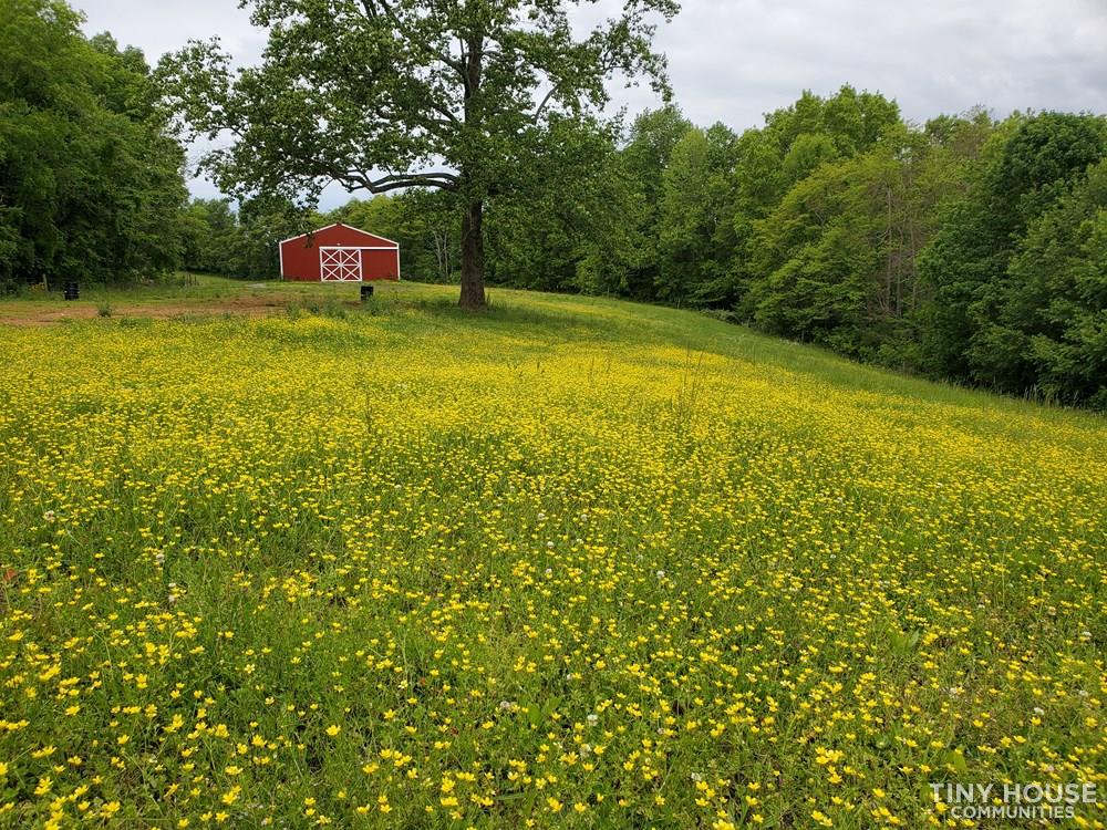 Avalon Nashville: Rural Living Community with MANY Amenities  - Image 4 Thumbnail