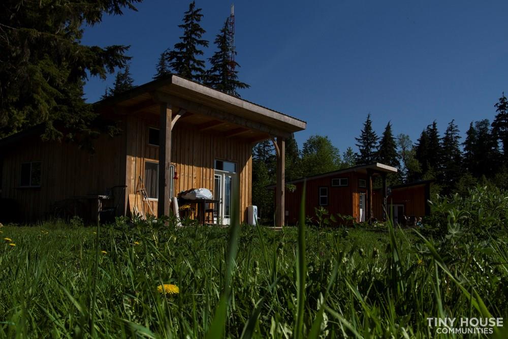 Bluegrass Meadows Micro Village  - Image 2 Thumbnail