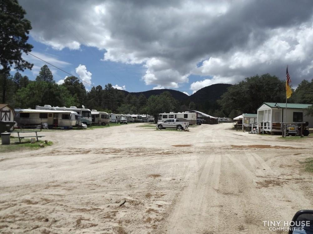 Burro Mountain Homestead 