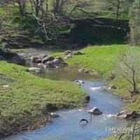 Clayton Palms Community  -  Creekside RV Area - Image 2 Thumbnail