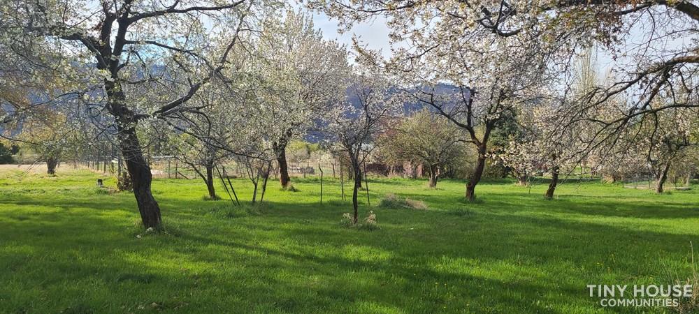Hermosa Orchards Village - Image 2 Thumbnail