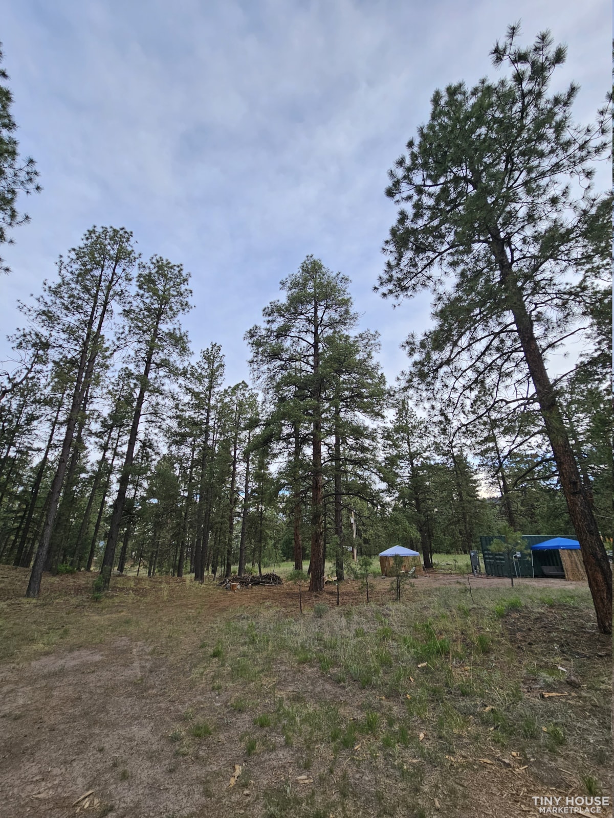 Jemez Springs 