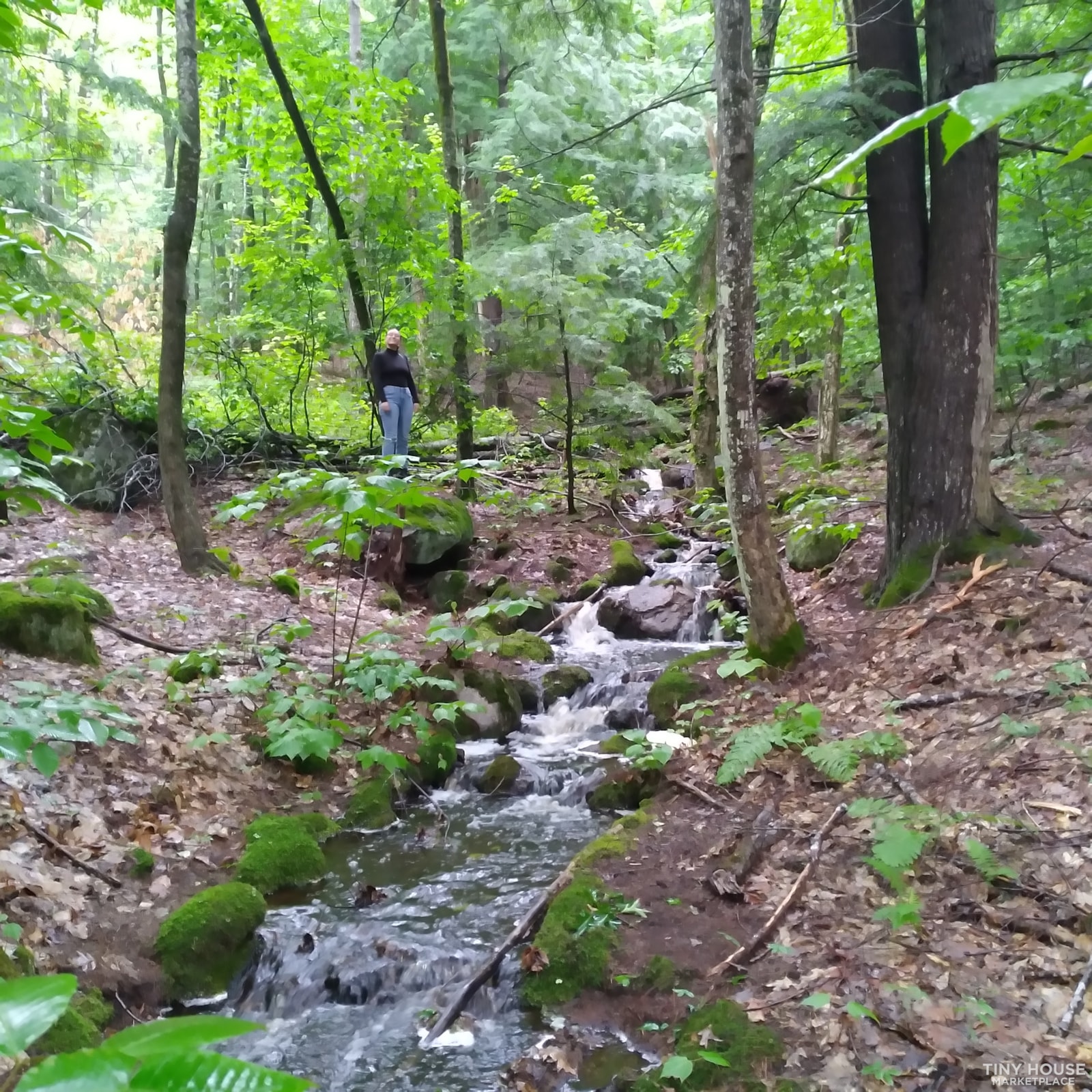 Plot For Rent on 21 acres of natural woodland in Maine's lake district - Image 1 Thumbnail