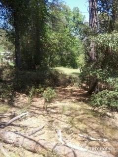 Private mt. property by Trinity River - Image 2 Thumbnail