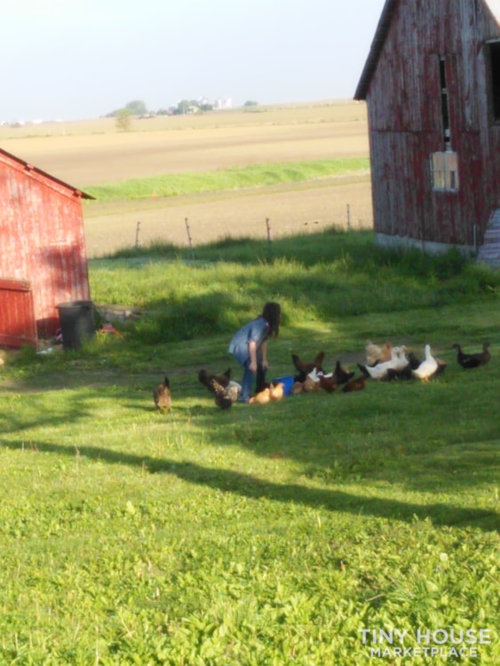 RURAL FARM LOCATION FOR TINY HOME PARKING - Image 1 Thumbnail