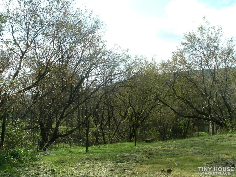 Scenic site for Tiny House on 305 acre farm - Image 2 Thumbnail