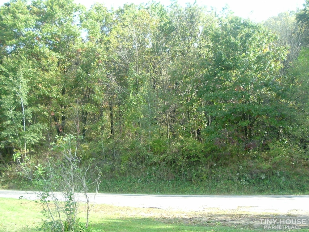 Scenic site for Tiny House on 305 acre farm - Image 3 Thumbnail
