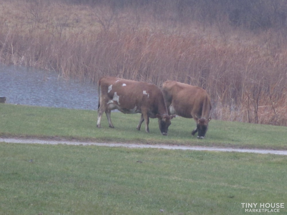 SE Michigan Private Farm Setting - Image 2 Thumbnail