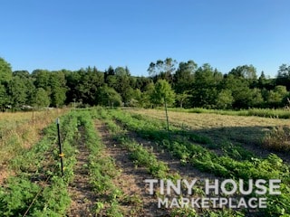 Secluded One Acre Site on 15 Acre Parcel. - Image 3 Thumbnail