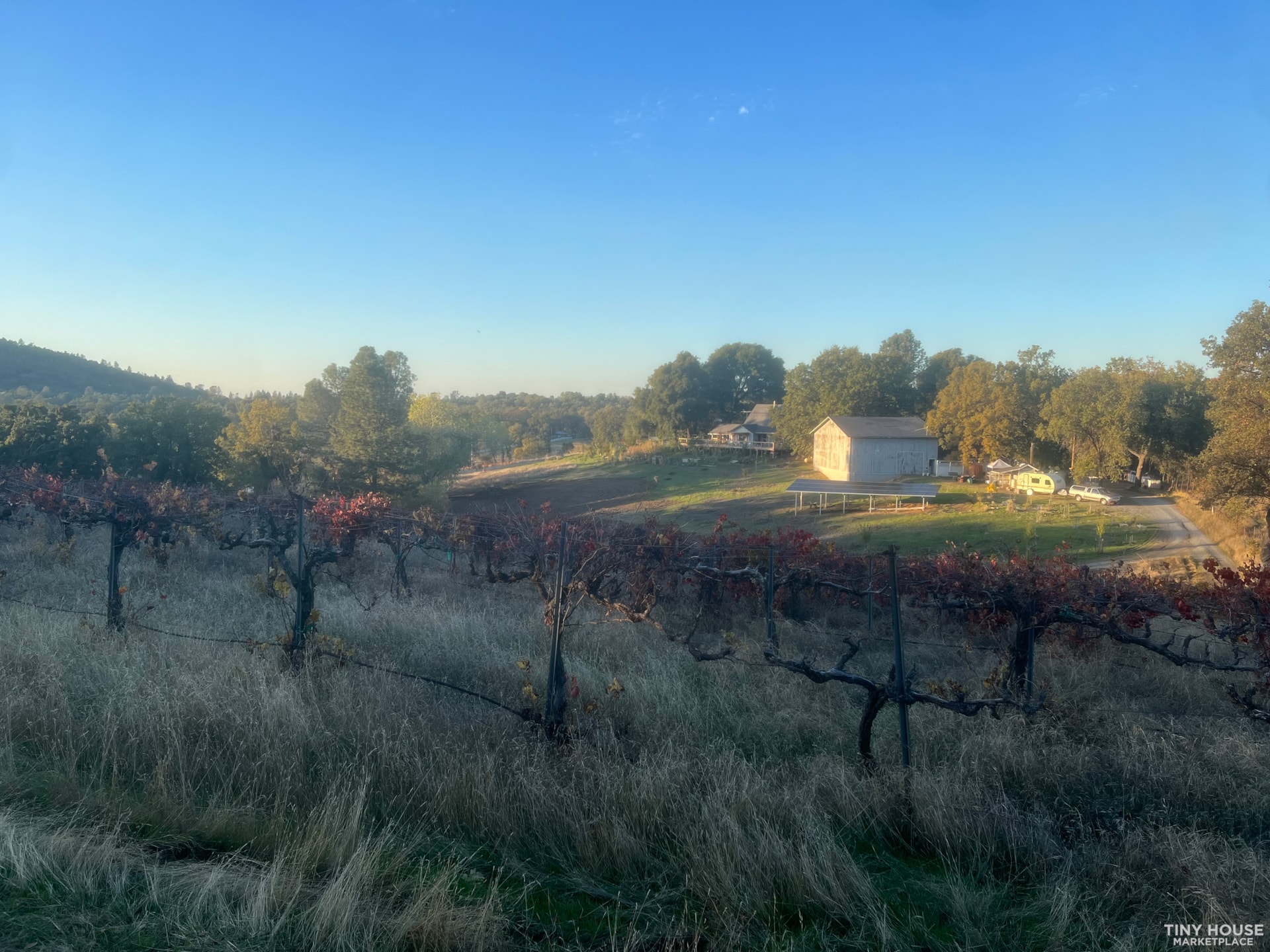 Sustainable Vineyard and Permaculture Community in Sierra Foothills - Image 1 Thumbnail
