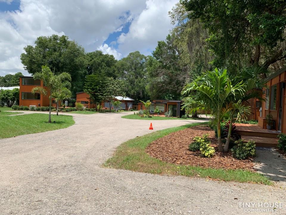 Tampa Bay Village - Image 2 Thumbnail