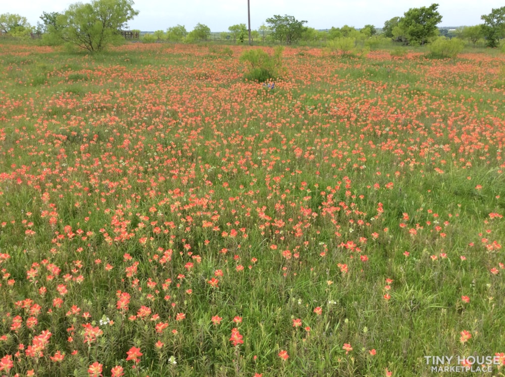 Texas Hill country retreat!   - Image 4 Thumbnail
