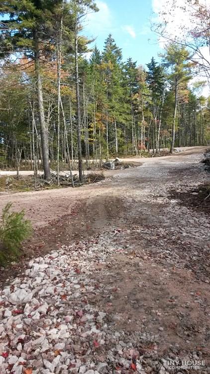 Shannon Lake Tiny Home and RV park  - Image 3 Thumbnail
