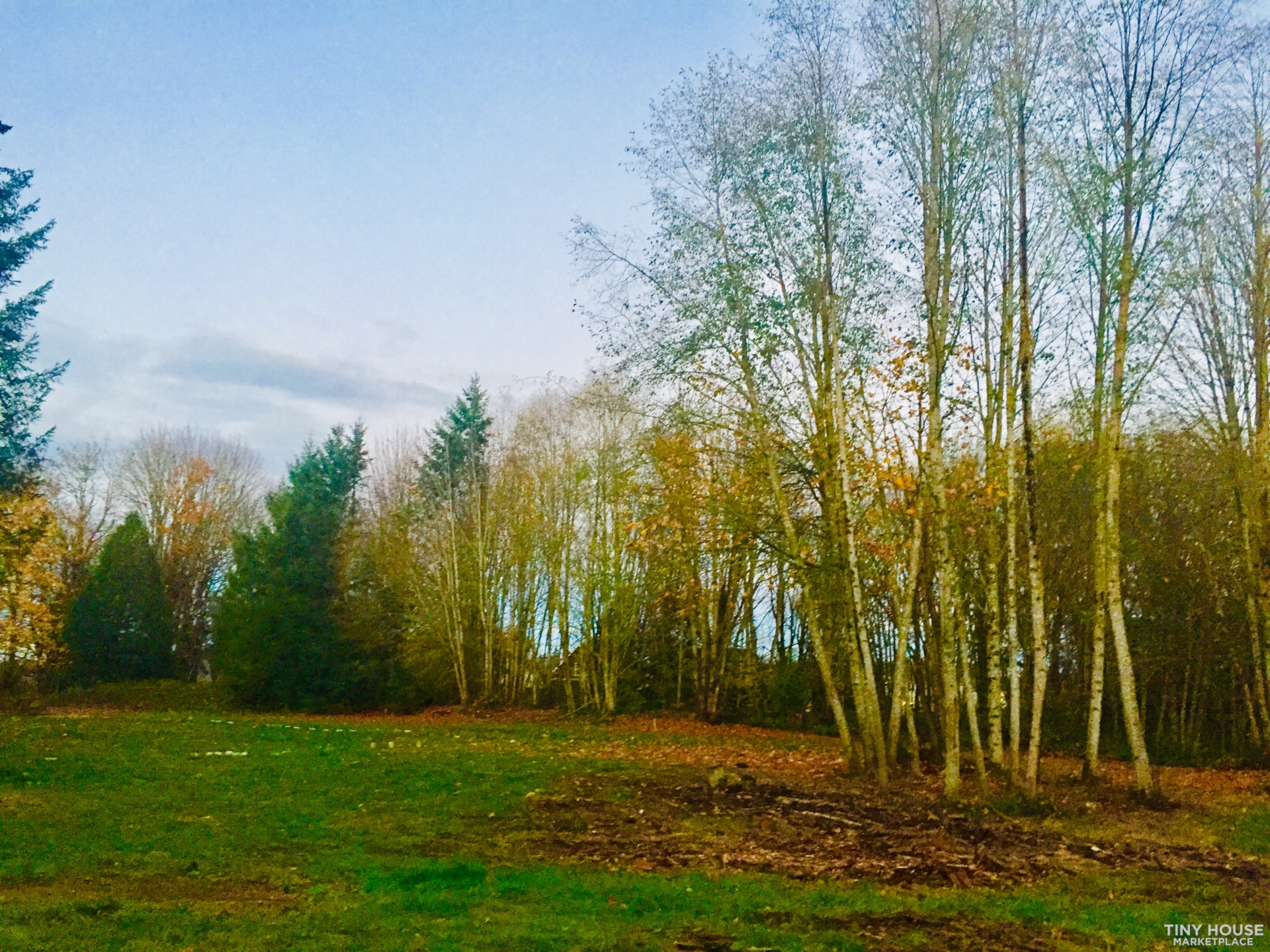 Tiny home parking available for rent on 20 acres in Olympia, WA  - Image 2 Thumbnail