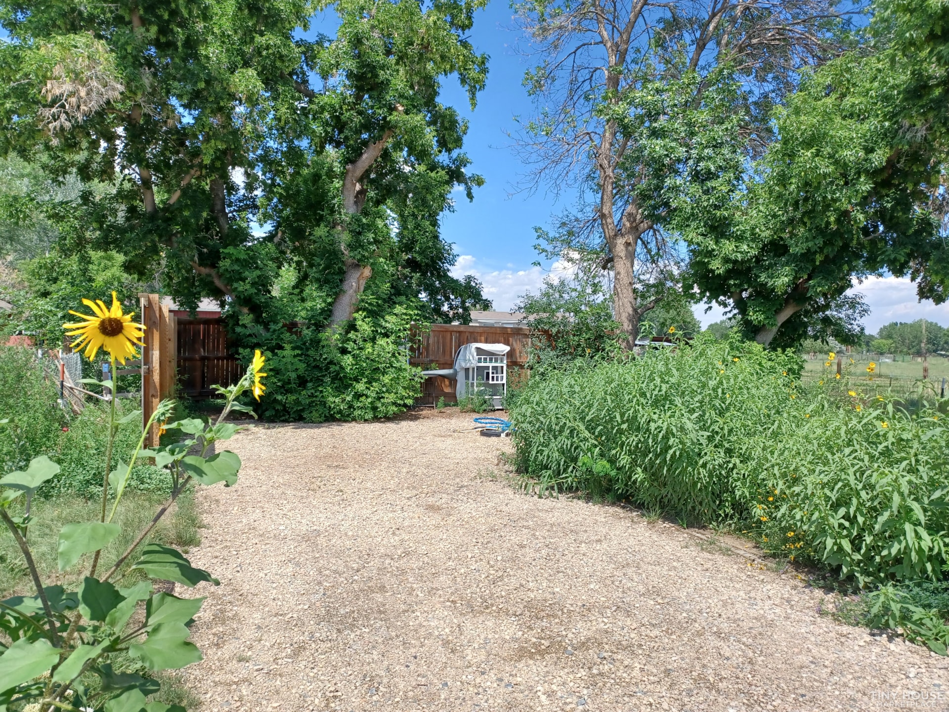 Tiny House Lot Laporte CO  - Image 2 Thumbnail