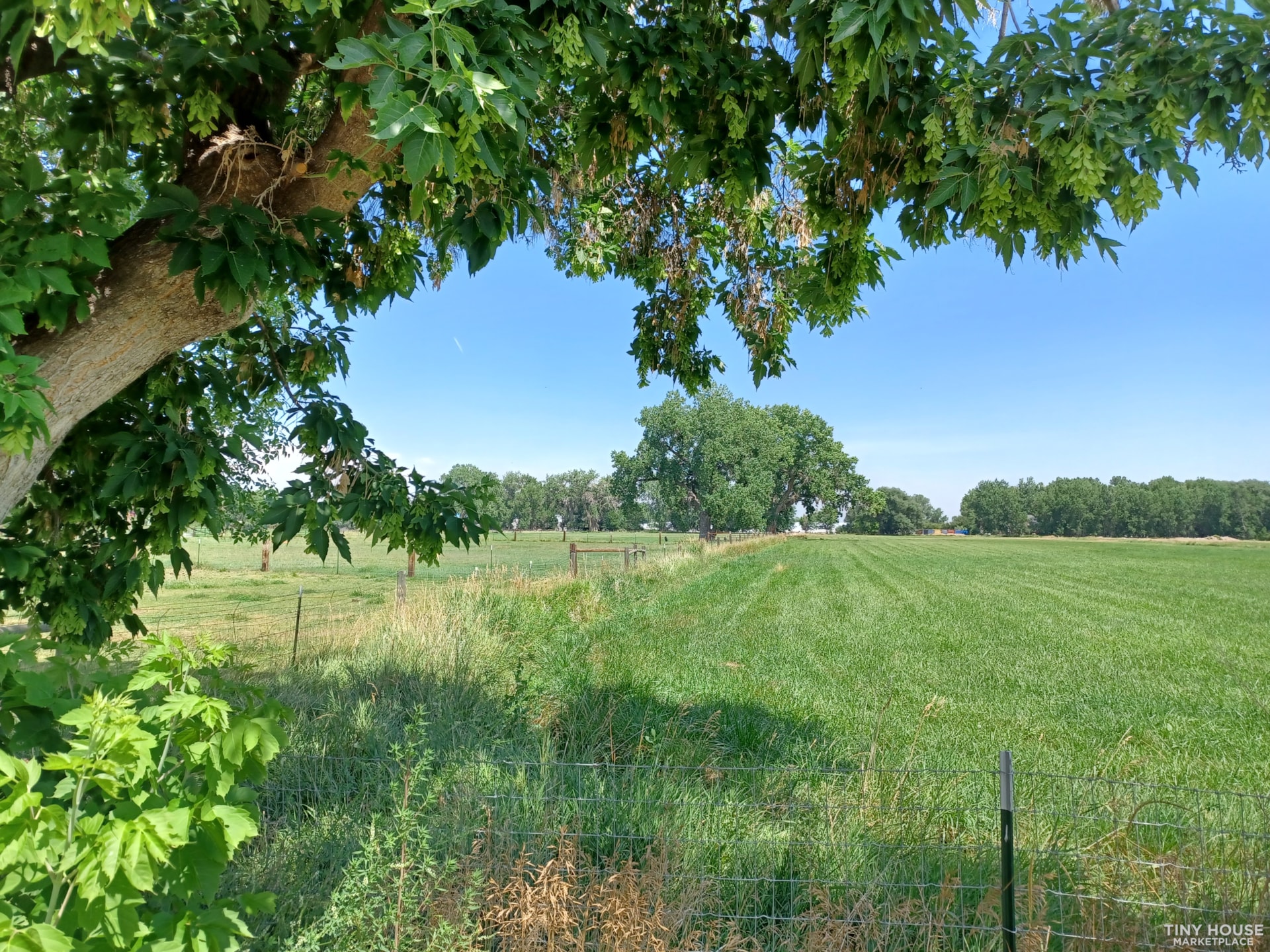Tiny House Lot Laporte CO  - Image 4 Thumbnail