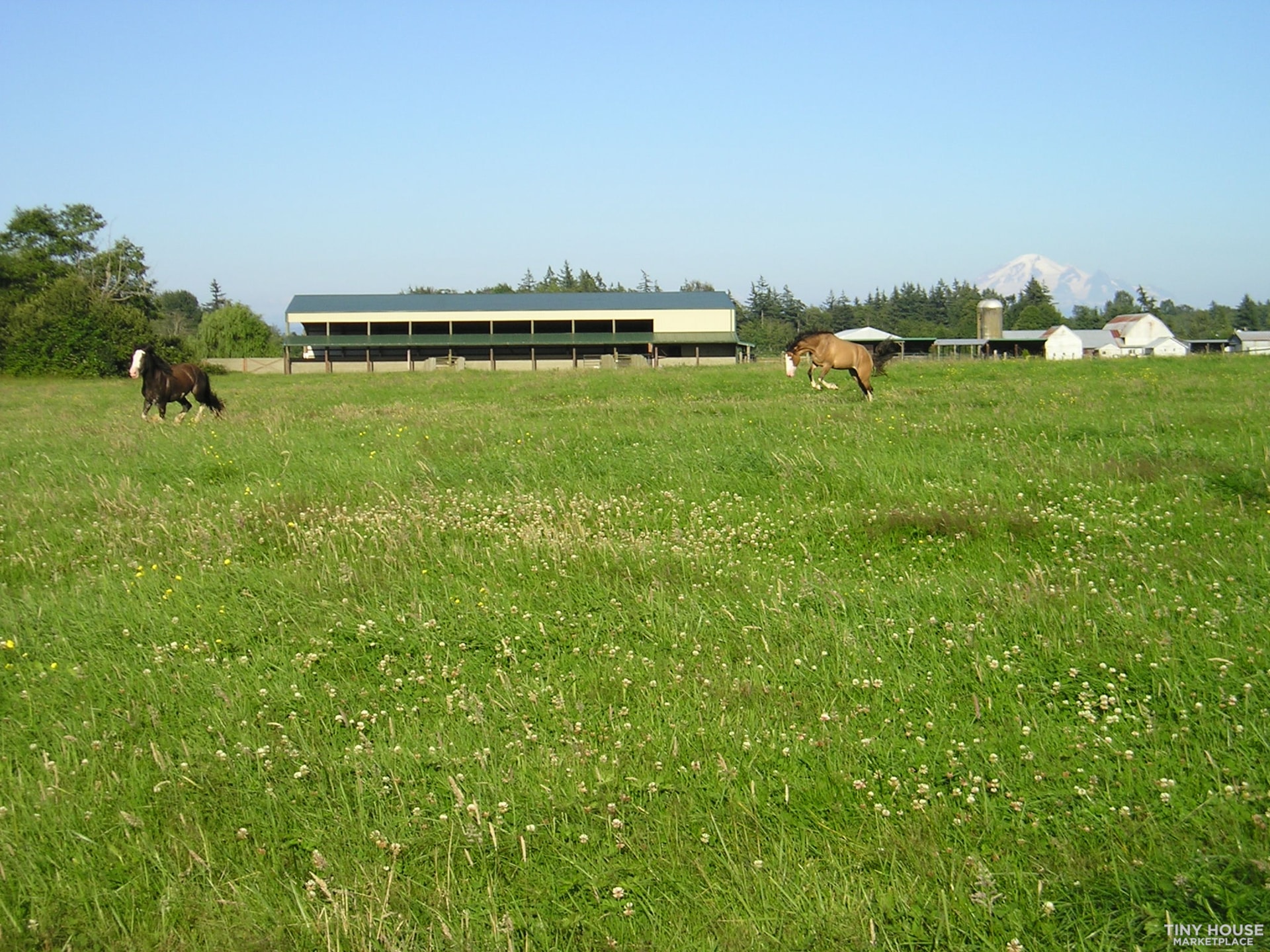 Tiny House Space Available on a Peaceful Horse Ranch