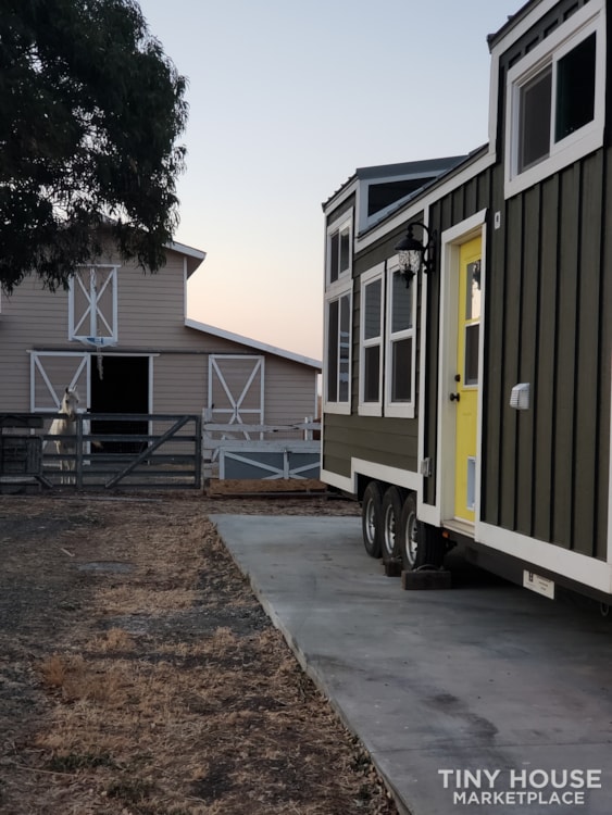 10 x 28 x 13.5 ft THOW (Park Model)