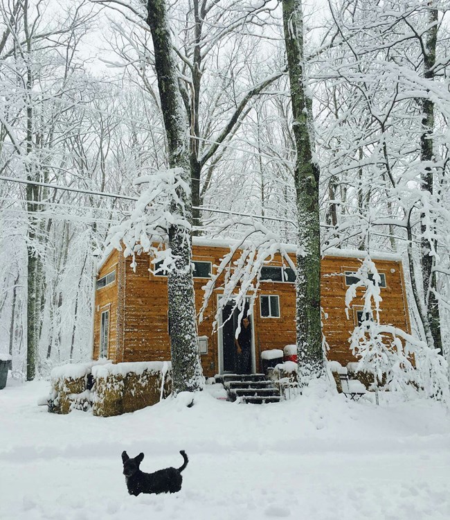 Tiny dream HoMe for sale  - Image 2 Thumbnail