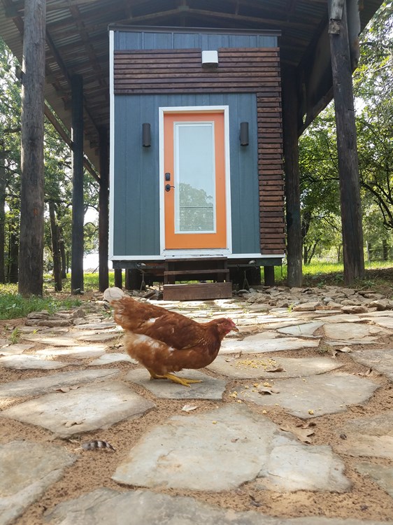 King Size Tiny House on Wheels - Image 2 Thumbnail