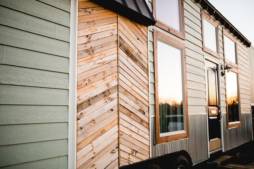 The Molly - Image 1 Thumbnail