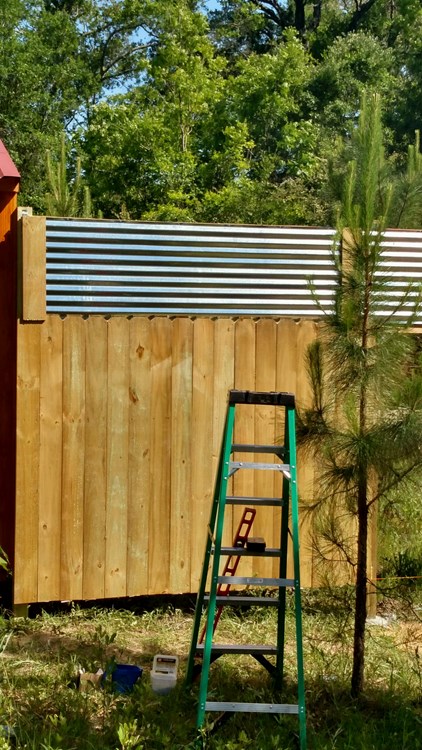 Tiny house on 1acre with deep water well, septic, privacy fenced yard, and 10x12 shed - Image 1 Thumbnail