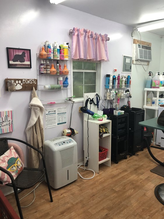tiny grooming salons