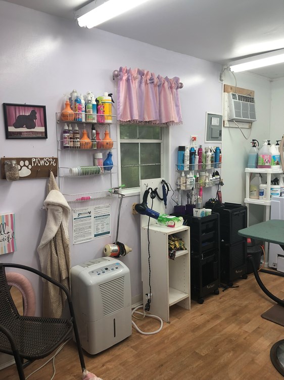 Tiny house grooming Salon  - Image 4 Thumbnail