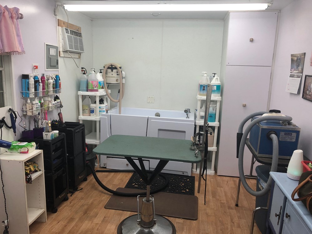 Tiny house grooming Salon  - Image 3 Thumbnail
