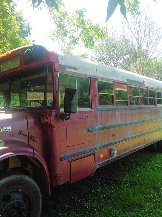 Converted Bus  - Image 1 Thumbnail