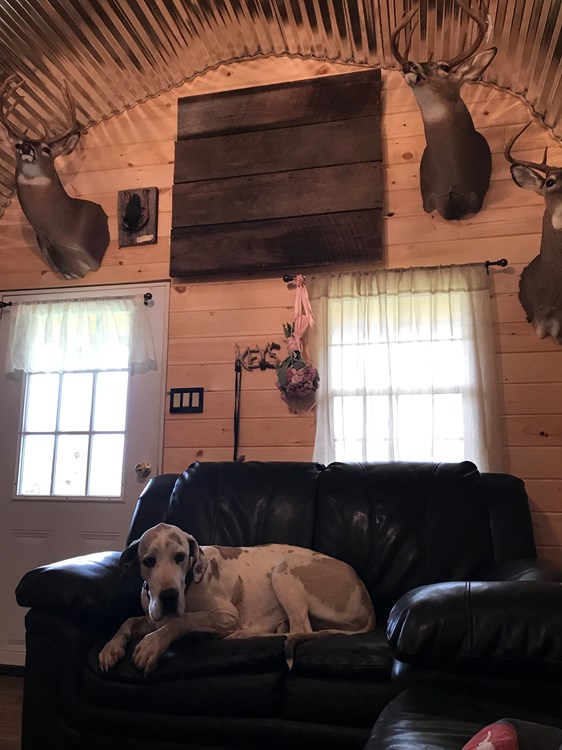 Beautiful Rustic Tiny House for Sale - Image 2 Thumbnail