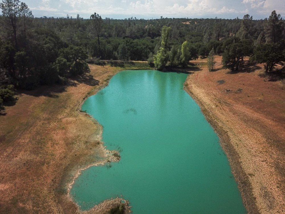 Cottonwood, CA home w/ 39 acres & pond (cash buyers only) - Image 2 Thumbnail