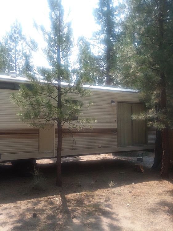 Tiny House Park model  - Image 1 Thumbnail