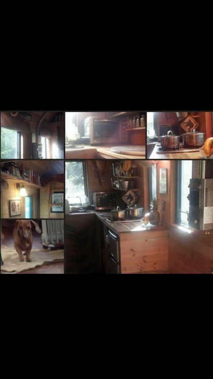 Cozy and cute, built for the healing of a chemically sensitive individual - Image 2 Thumbnail