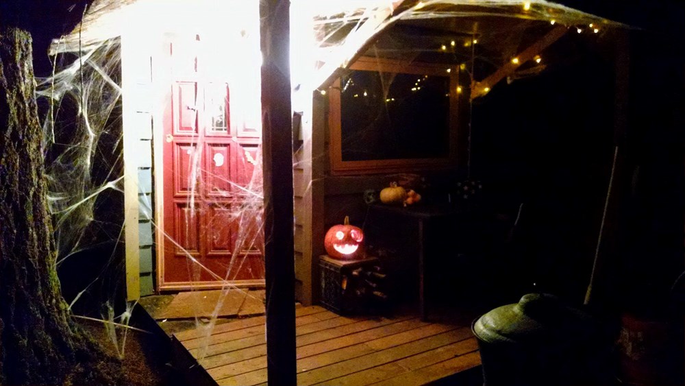 [SOLD] Quirky Tiny House - Image 3 Thumbnail