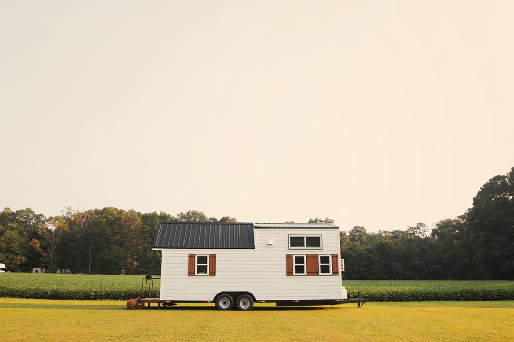 The Dream