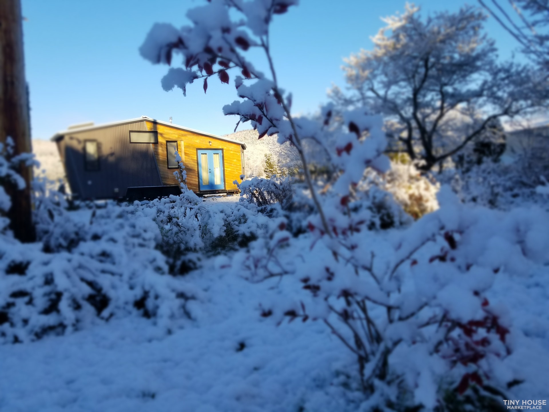 Architect and Artist Designed Tiny House Built as a Labor of Love - Image 1 Thumbnail