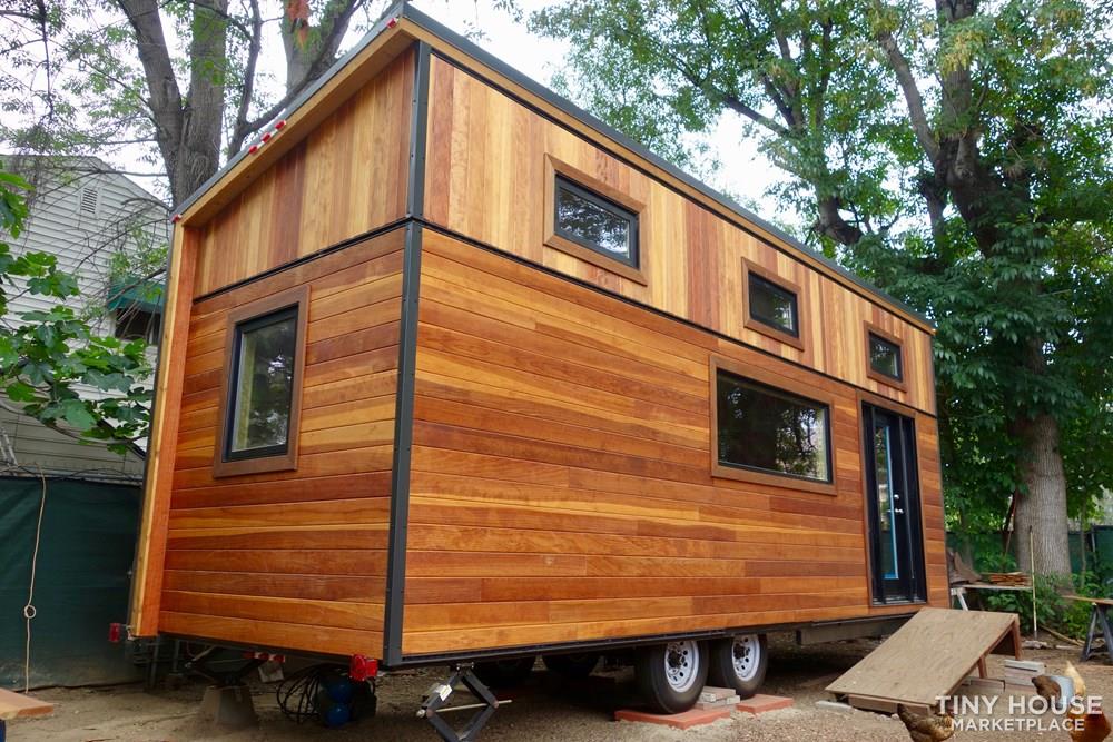 Beautiful Redwood Shell