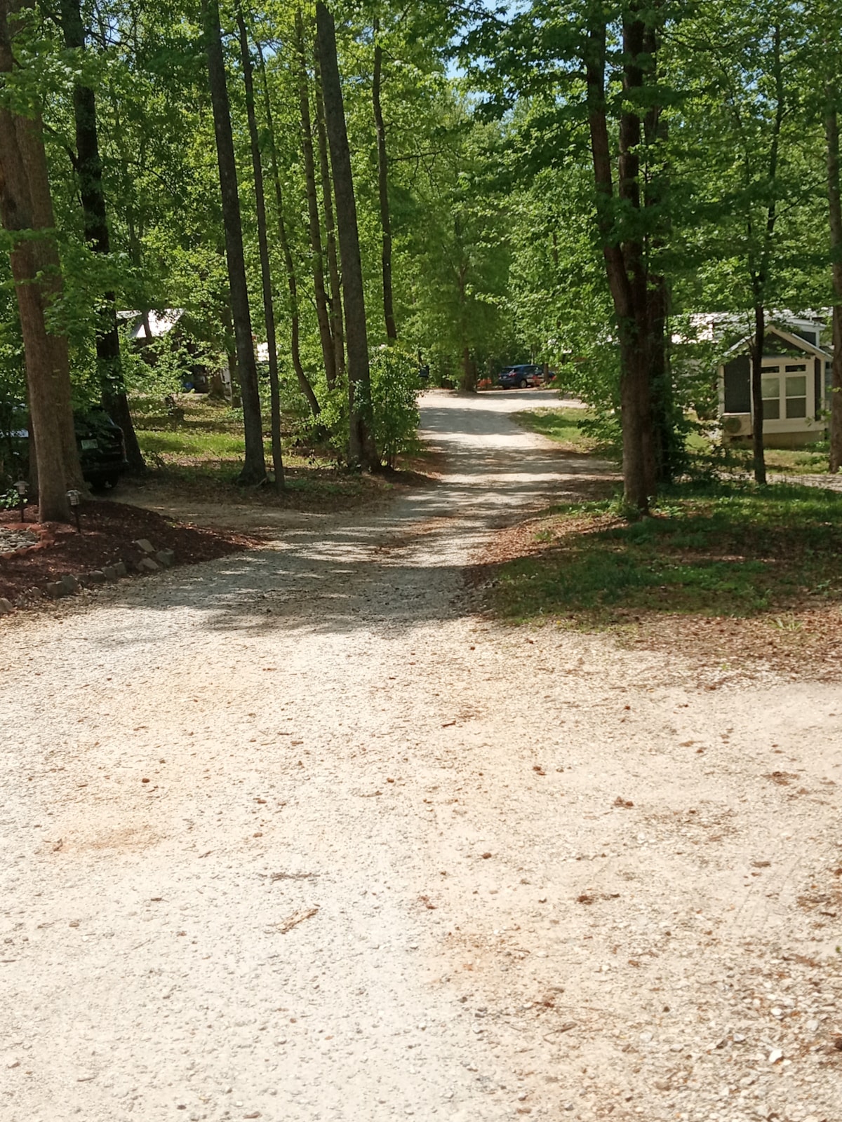 Clayton Alexander, Greer SC - Image 2 Thumbnail