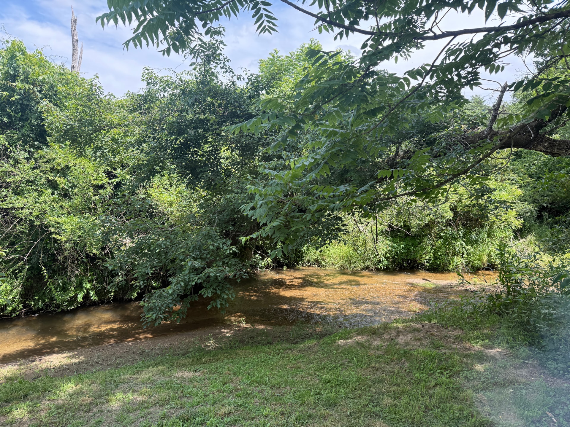 CREEKFRONT TINY HOME FOR SALE — ACONY BELL TINY HOME COMMUNITY  - Image 2 Thumbnail