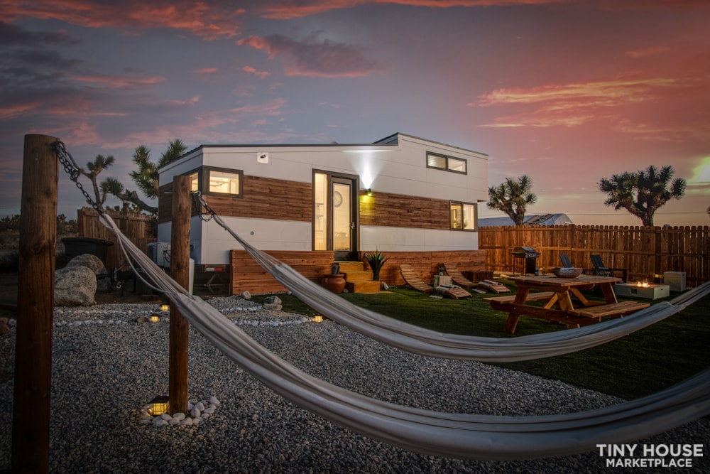 Famous "Little Dipper" Joshua Tree For Sale - Image 2 Thumbnail