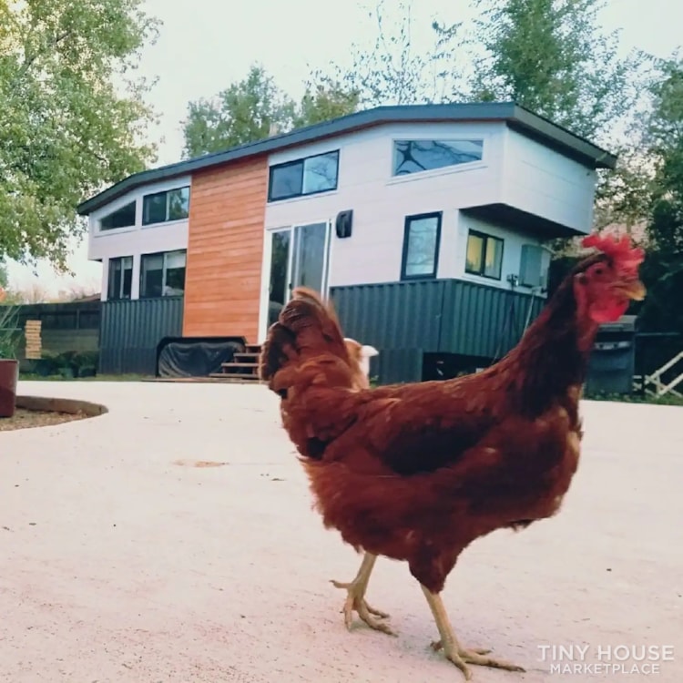 Cedar Queen 28' Tiny Home on Wheels - Image 4 Thumbnail