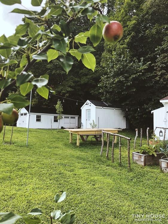 Modern Tiny Homestead 