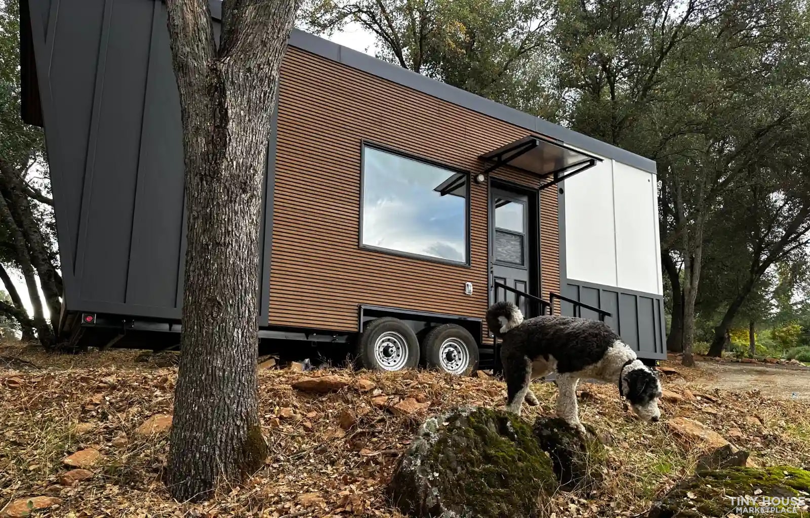 NEW Luxury Tiny Home on Wheels: Available NOW! - Image 2 Thumbnail