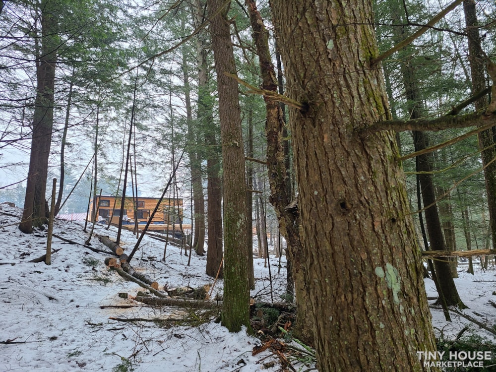 Non-toxic tiny house - Image 4 Thumbnail