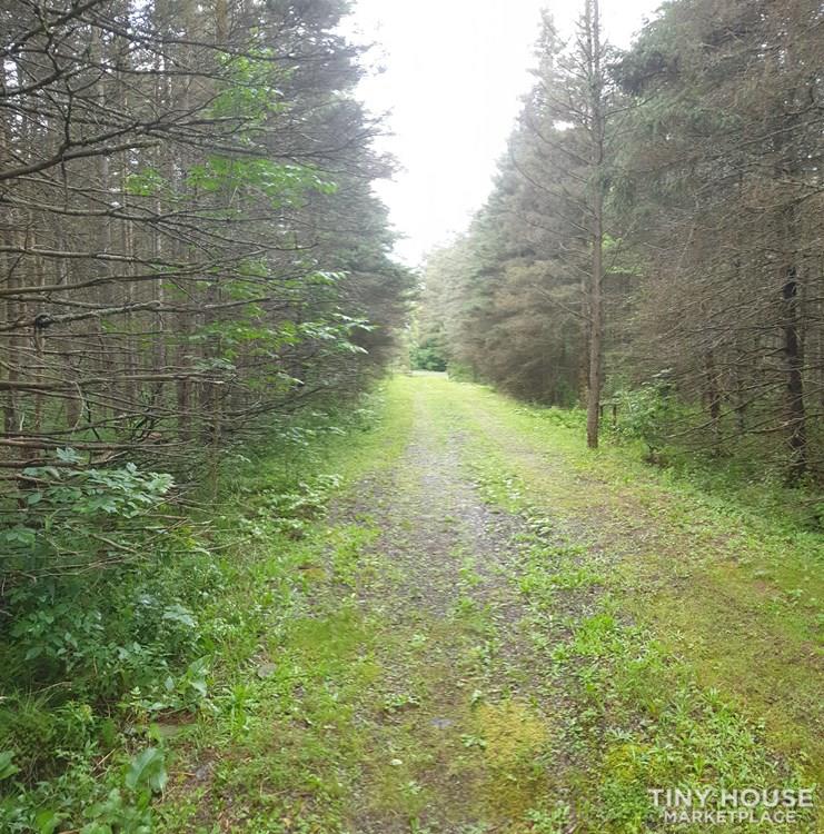 Off Grid Cabin on 3 Acres. Quiet and relaxing! - Image 4 Thumbnail
