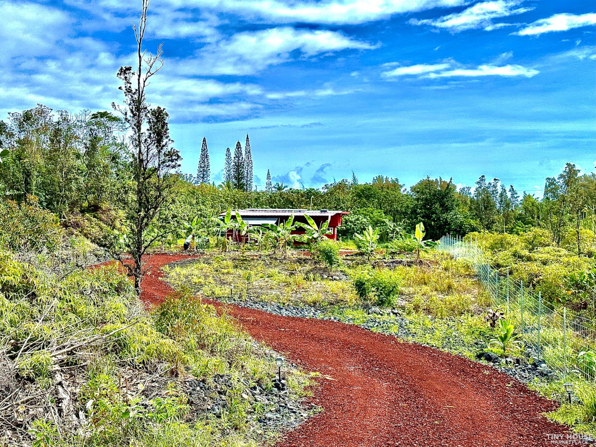 off-grid eco-home + food forest + ocean: non-toxic, all-natural, VOG-, mold-, an - Image 3 Thumbnail